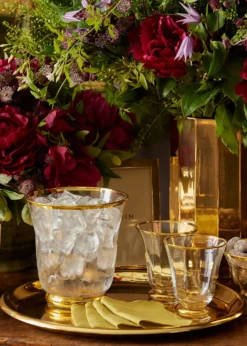 AERINSophia Ice Bucket