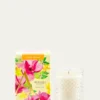 AgrariaOrange Blossom Candle, 7 oz.