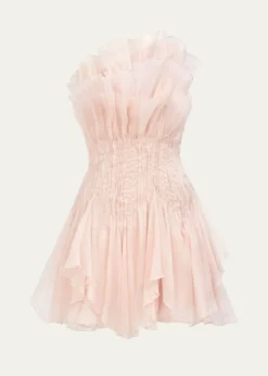 AjeNisha Mini Dress