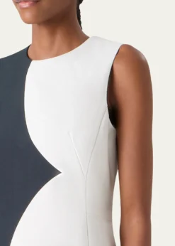 AkrisColorblock Silk Sleeveless Sheath Dress