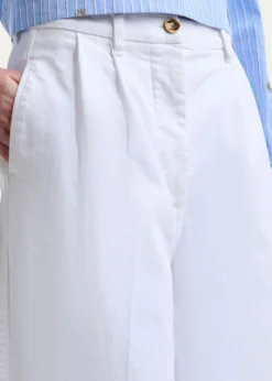 AltuzarraDash Pleated Wide-Leg Jeans