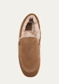 AquataliaQalista Suede Driving Loafers