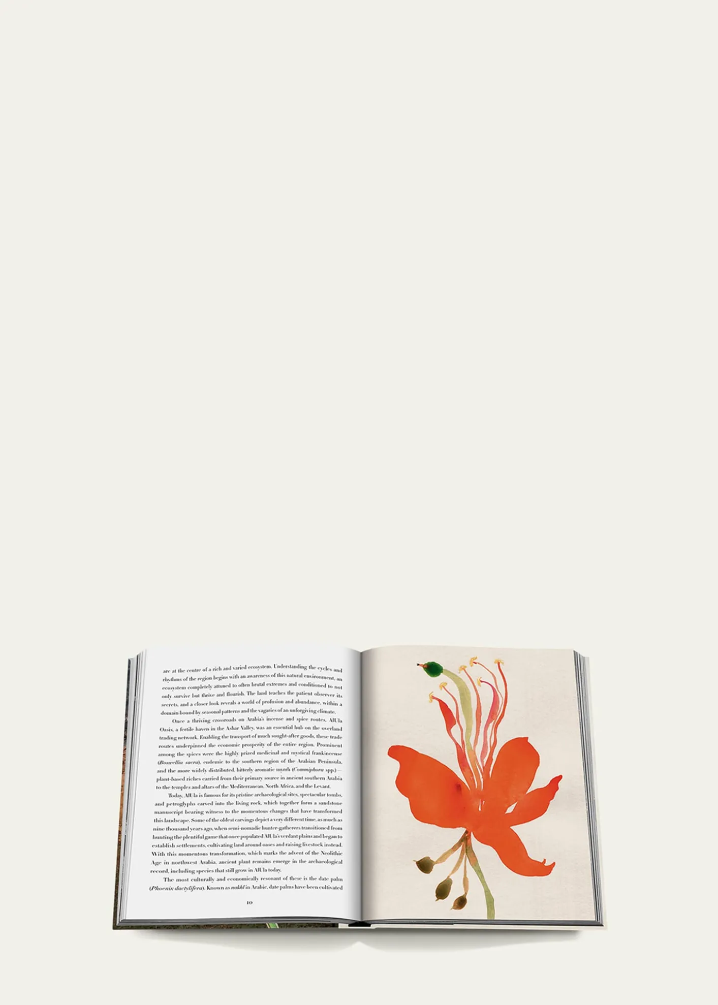 Assouline"AlUla Flora: A Botanical Treasure" Book by Abdulaziz Assaeed