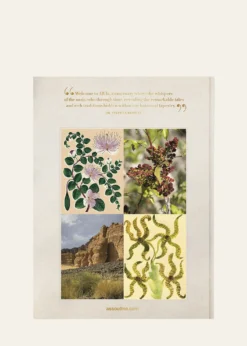 Assouline"AlUla Flora: A Botanical Treasure" Book by Abdulaziz Assaeed