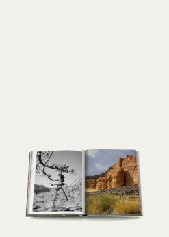 Assouline