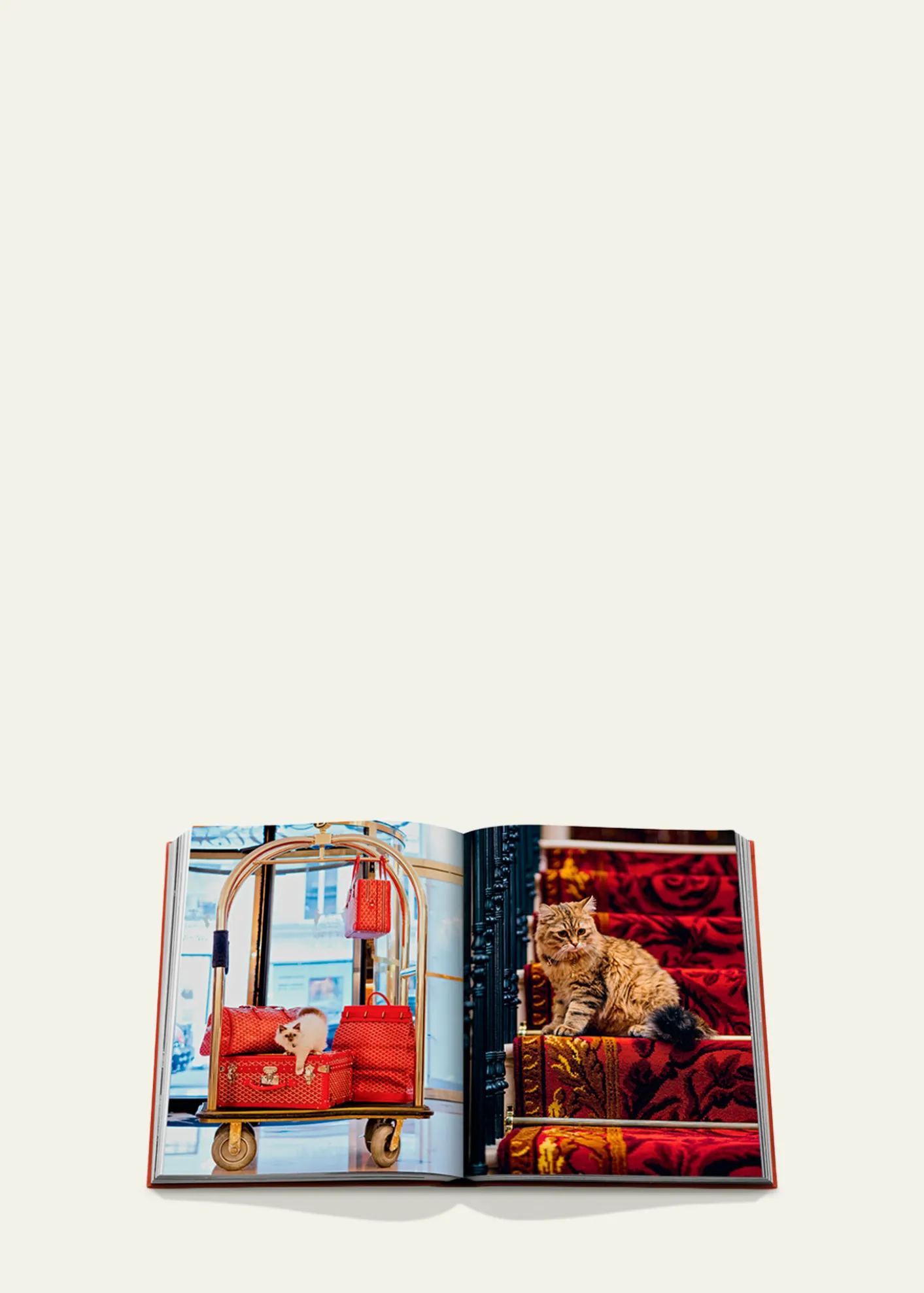 Assouline"Chic Cats" Book by Brett Martin