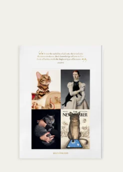 Assouline