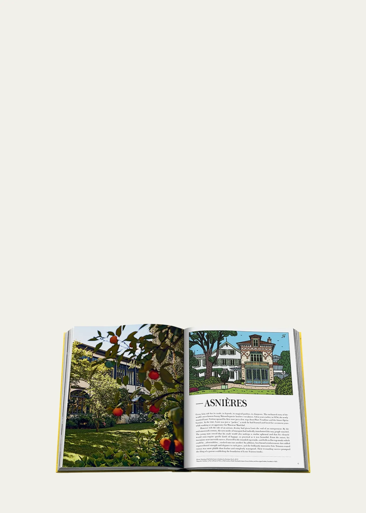 Assouline"From Louis to Vuitton" Book by Arthur Dreyfus
