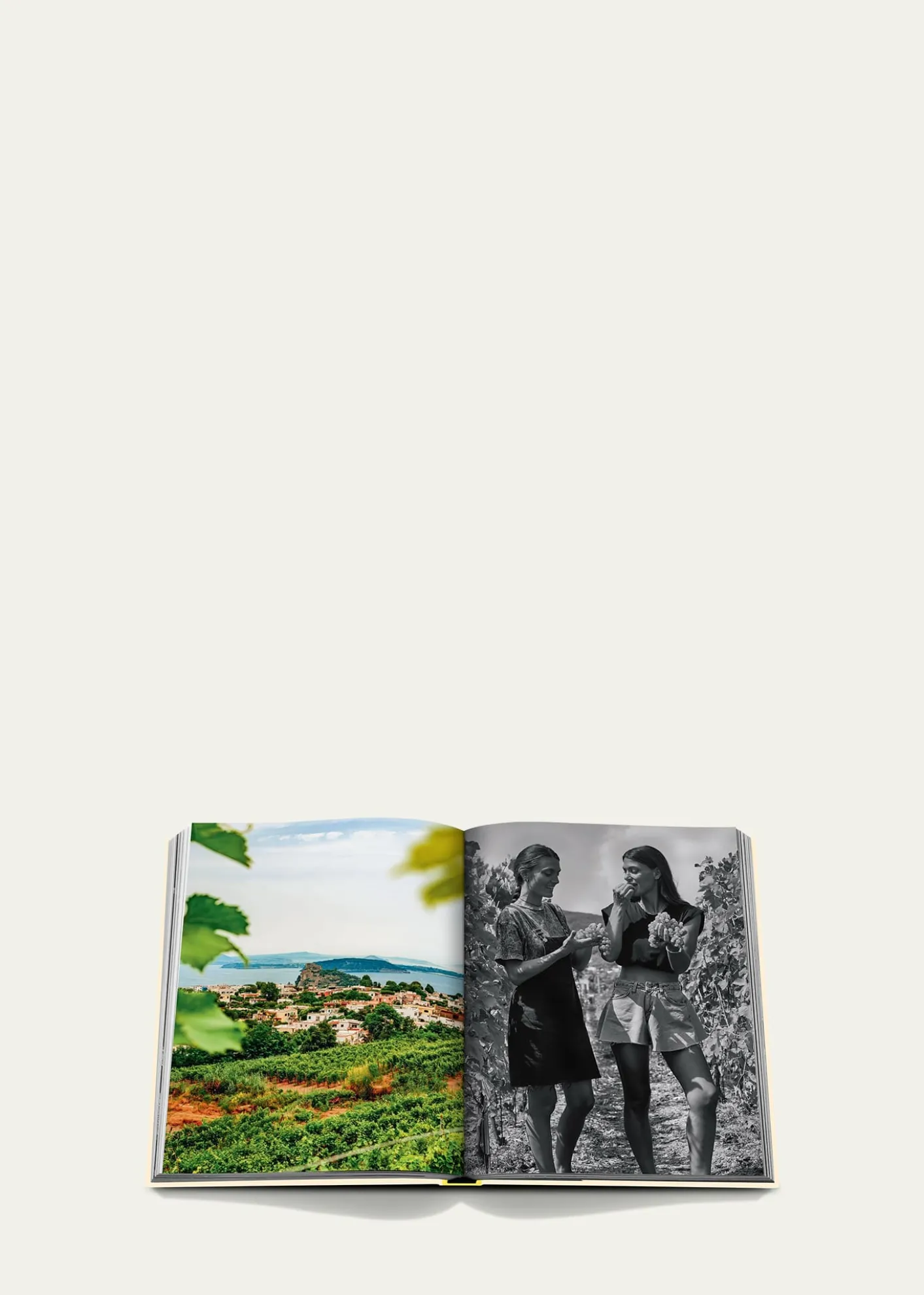 Assouline"Wine & Travel: Mediterranean Islands" Book by Enrico Bernardo
