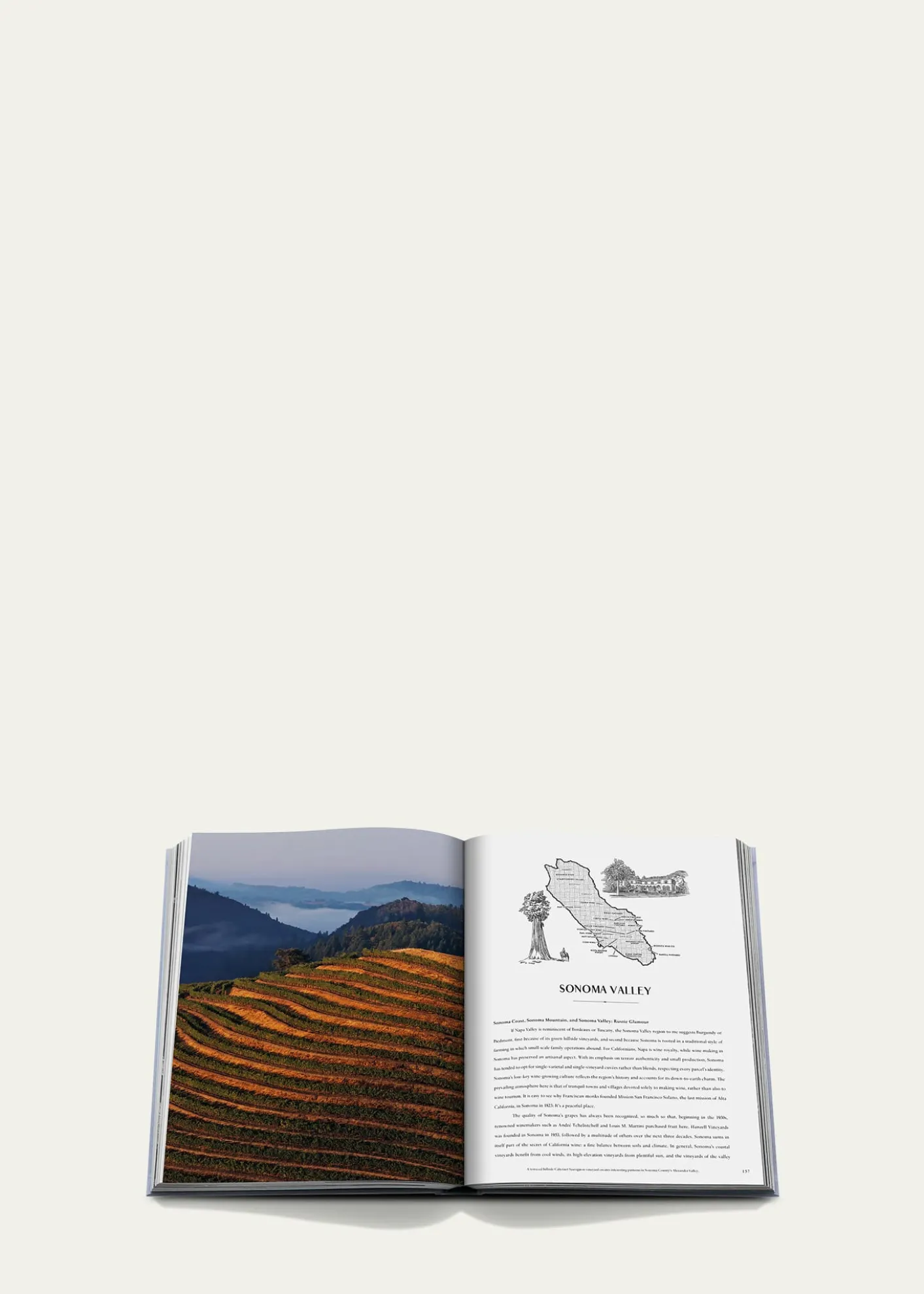 Assouline"Wine & Travel: USA" Book by Enrico Bernardo