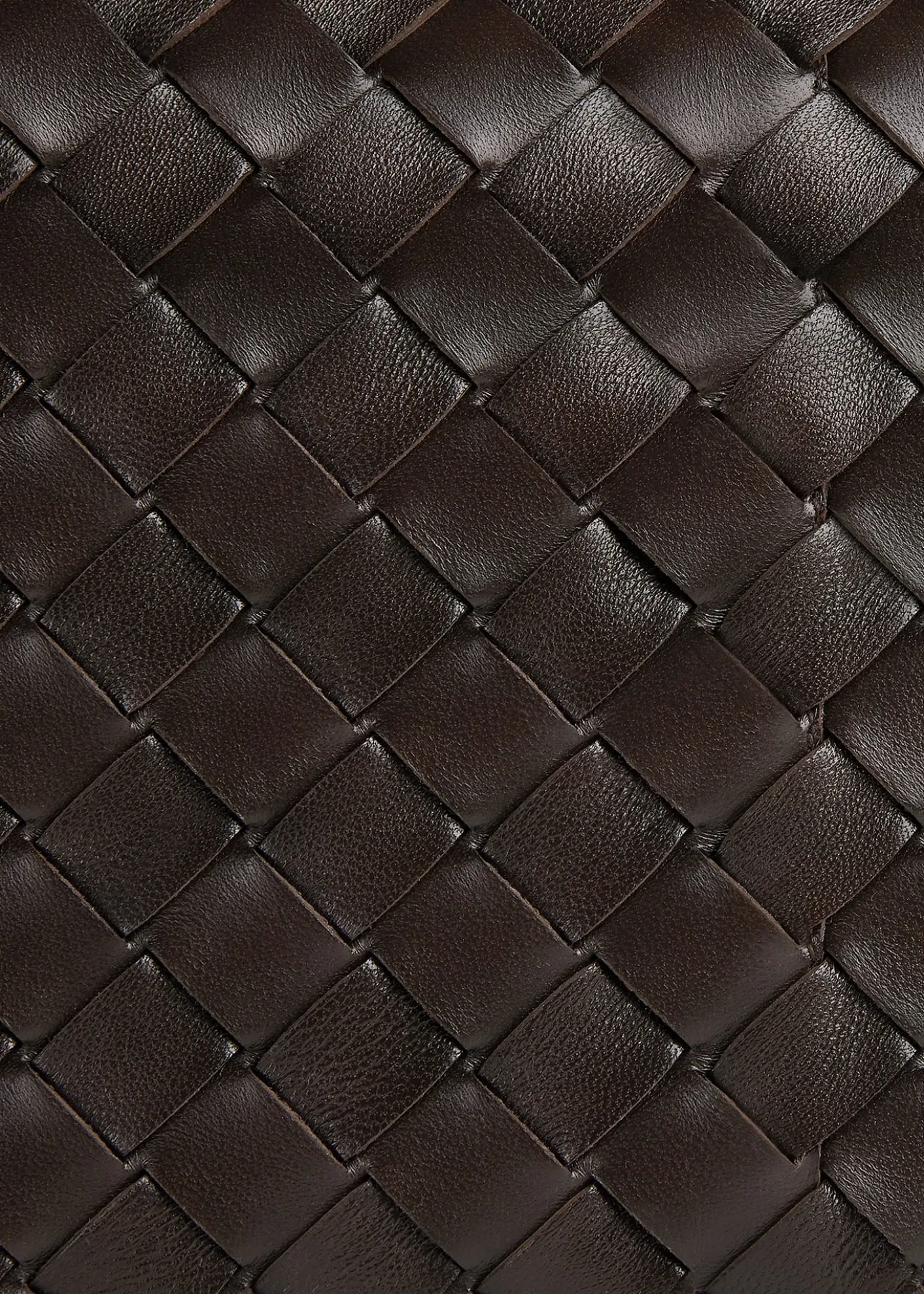 Bottega VenetaCampana Large Leather Shoulder Bag
