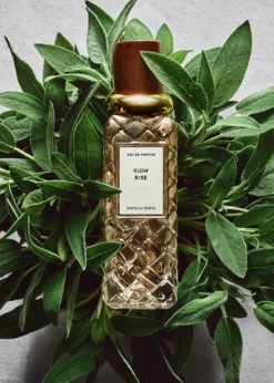 Bottega VenetaSlow Rise Eau de Parfum, 1.6 oz.