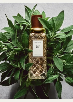 Bottega VenetaSlow Rise Eau de Parfum, 3.3 oz.