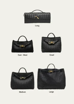 Bottega VenetaSmall East-West Andiamo Bag