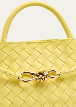 Bottega VenetaSmall East-West Andiamo Bag