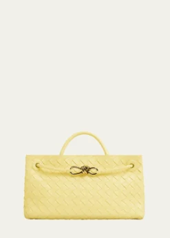 Bottega VenetaSmall East-West Andiamo Bag