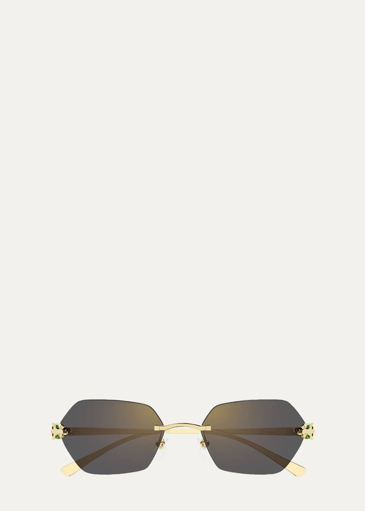 CartierPanthère de Cartier 55mm Geometric Sunglasses