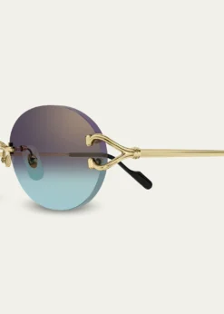 CartierPremière de Cartier 55mm Oval Sunglasses