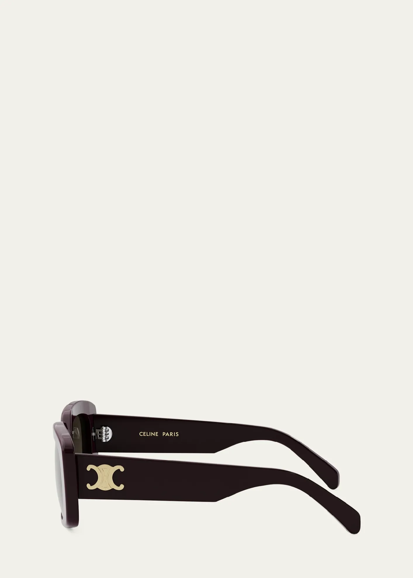 CelineTriomphe Acetate Butterfly Sunglasses