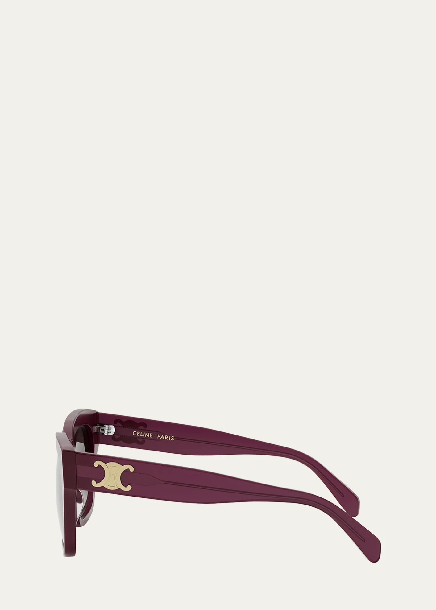 CelineTriomphe Acetate Square Sunglasses