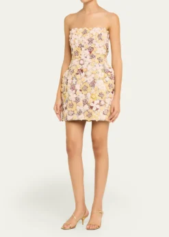 CostarellosSirra Strapless Embroidered Floral Applique Mini Dress