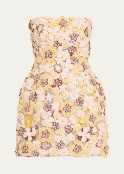 CostarellosSirra Strapless Embroidered Floral Applique Mini Dress
