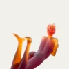 DaumAdelie Figurine