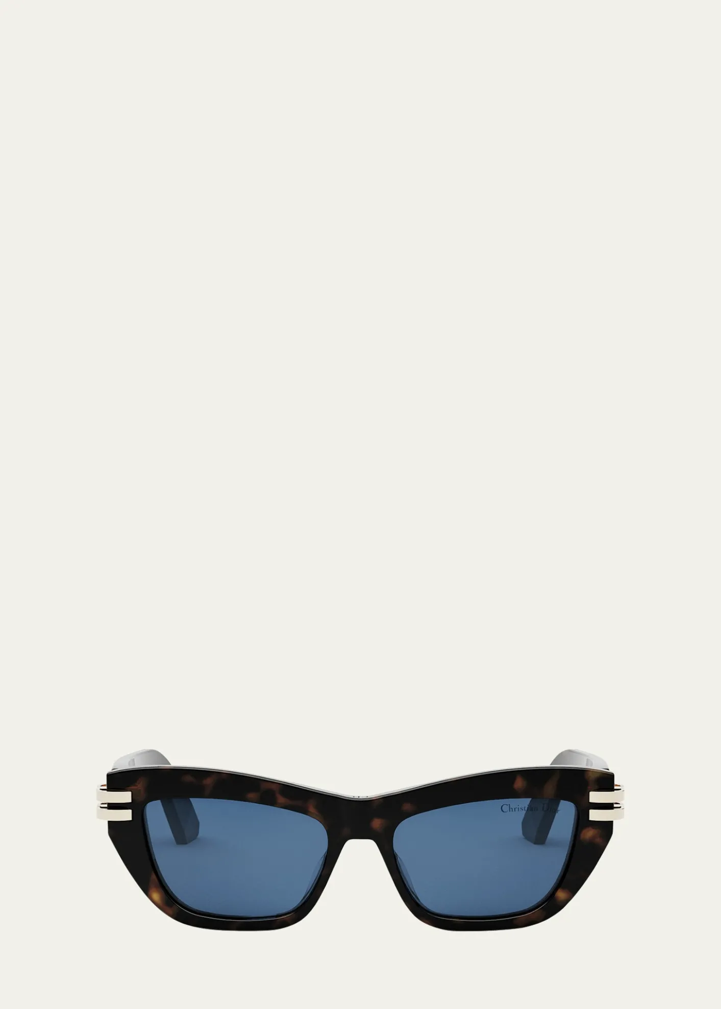 DiorCDior B2U Sunglasses