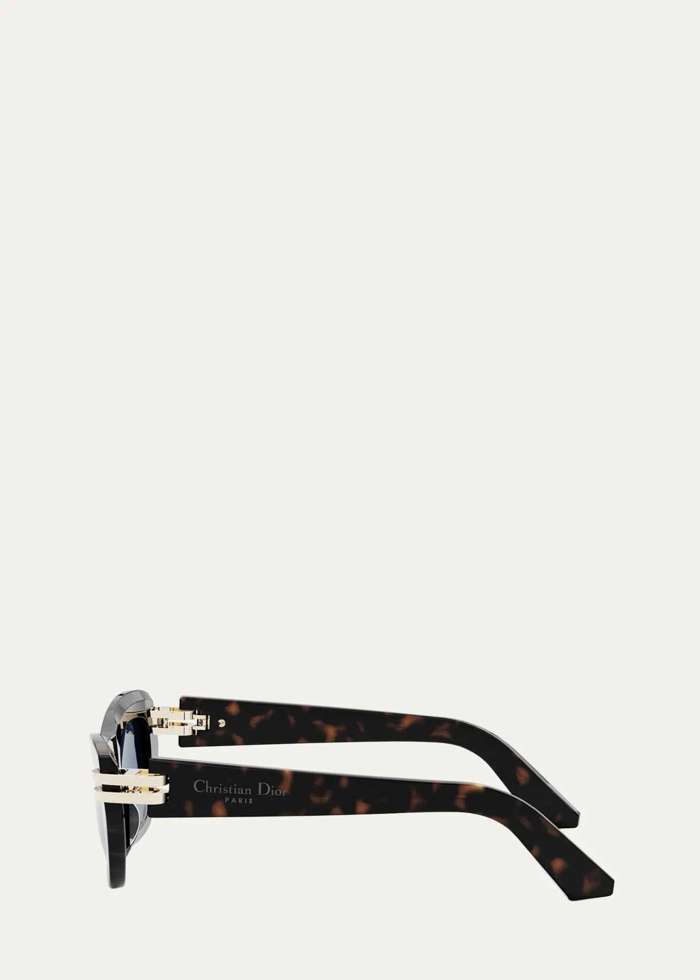 DiorCDior B2U Sunglasses