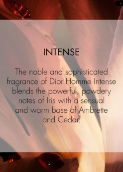 DiorDior Homme Intense Eau de Parfum, 3.4 oz.