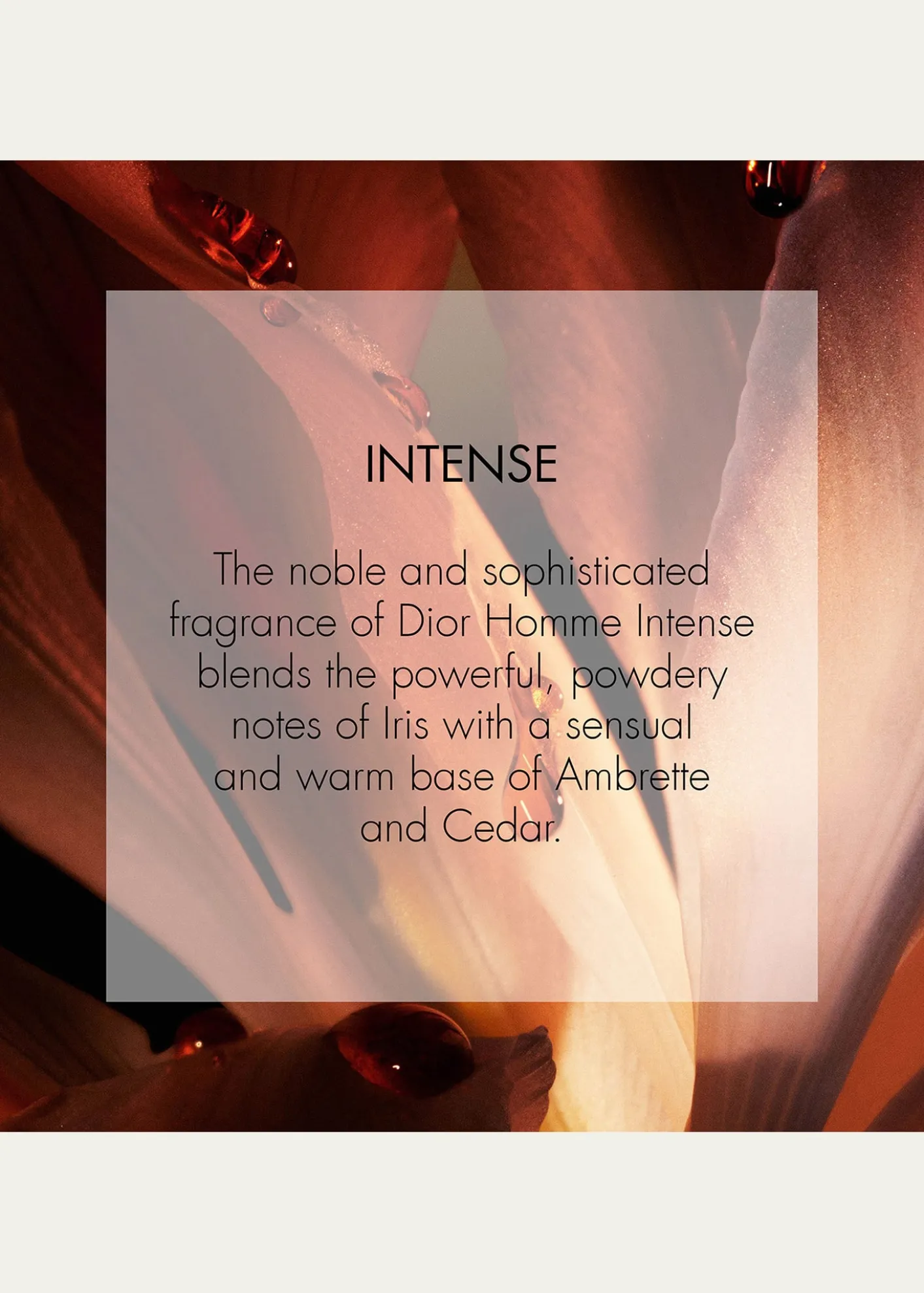 DiorDior Homme Intense Eau de Parfum, 1.7 oz.