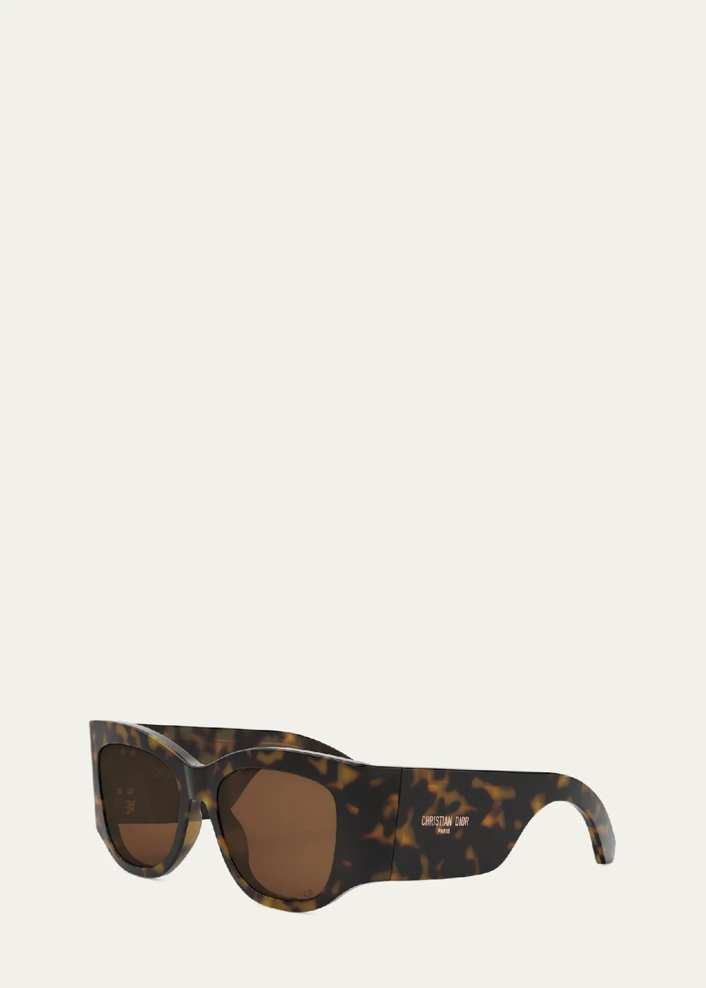DiorDiorNuit S1I Sunglasses