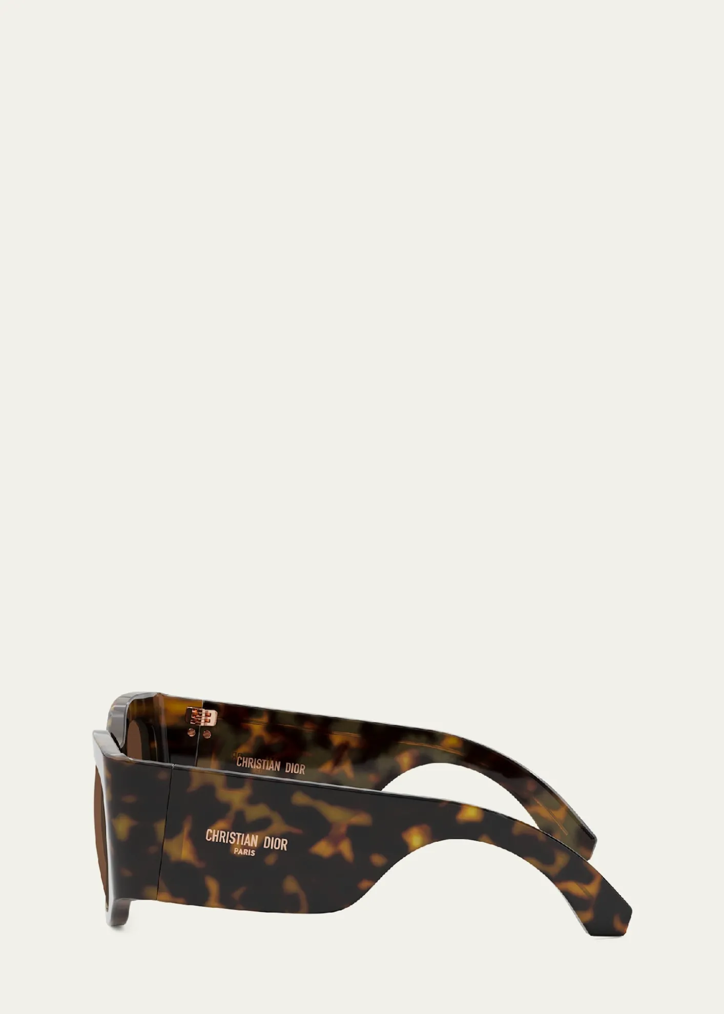 DiorDiorNuit S1I Sunglasses