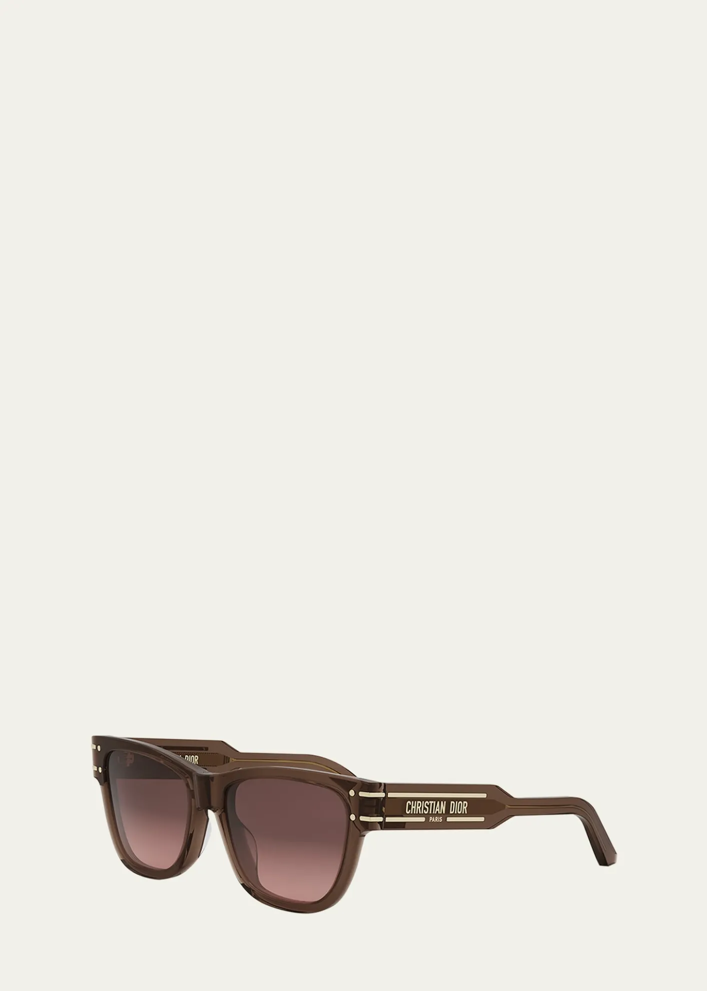 DiorDiorSignature S6U Sunglasses