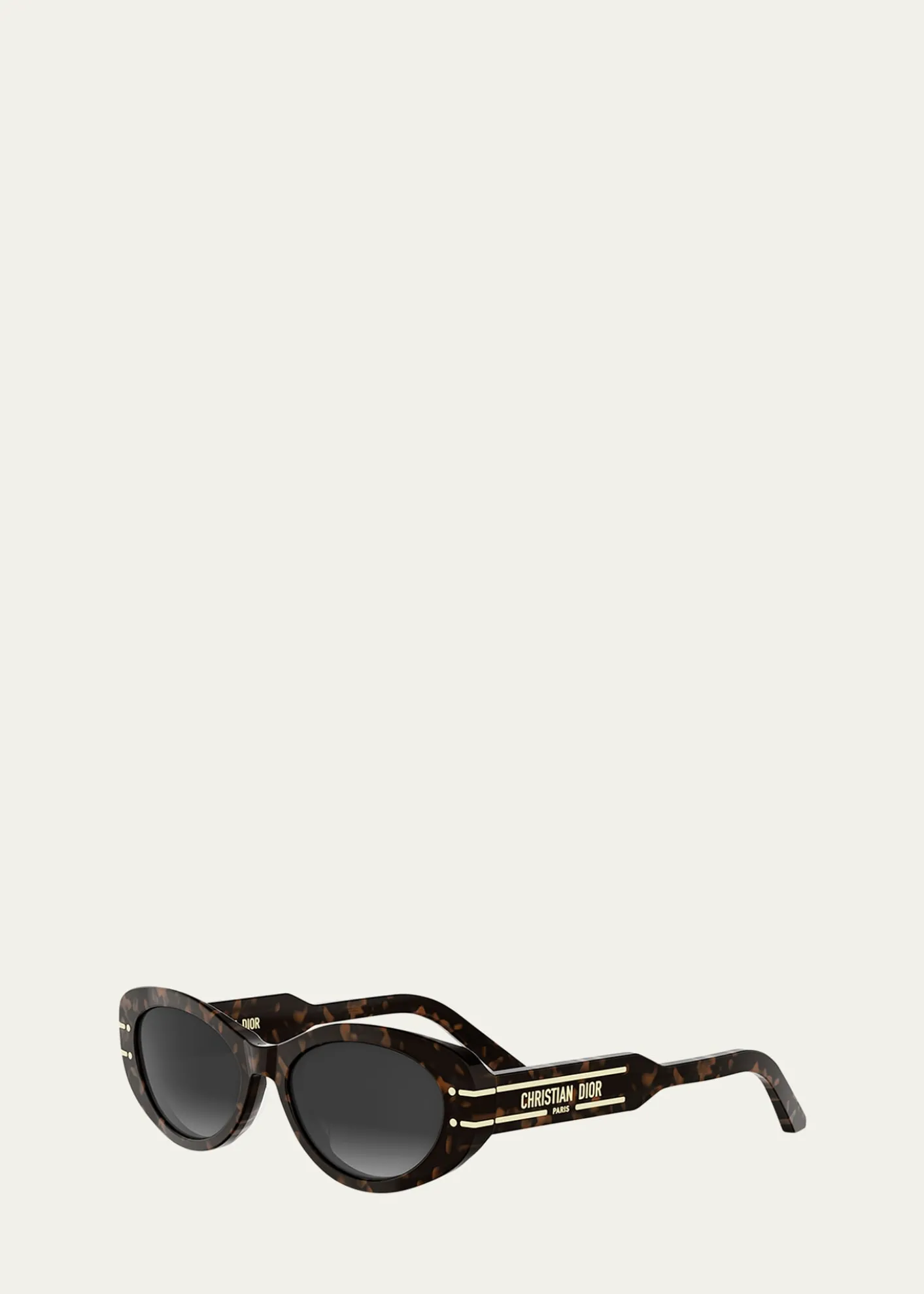 DiorDiorSignature B8U Acetate Oval Sunglasses