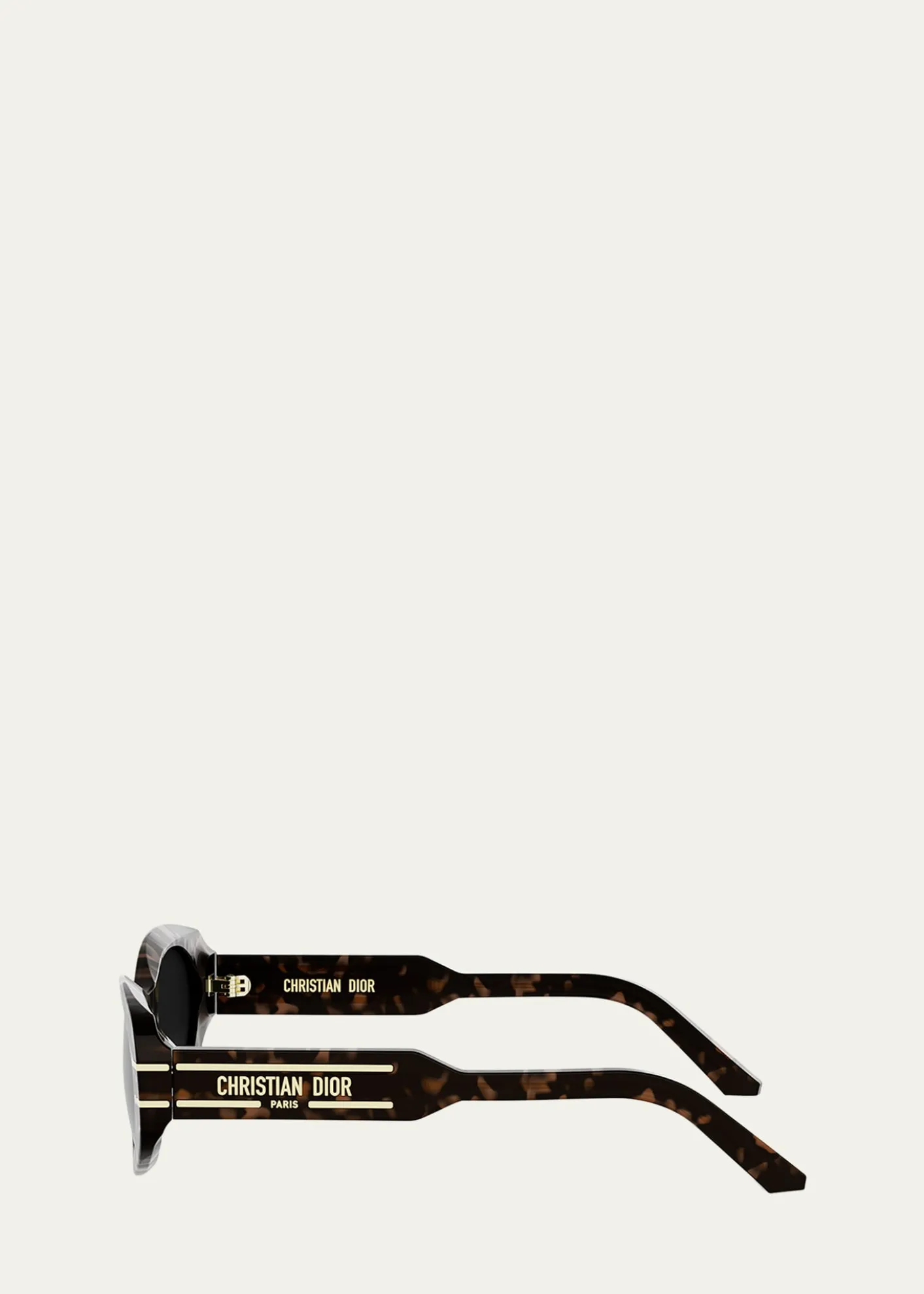 DiorDiorSignature B8U Acetate Oval Sunglasses