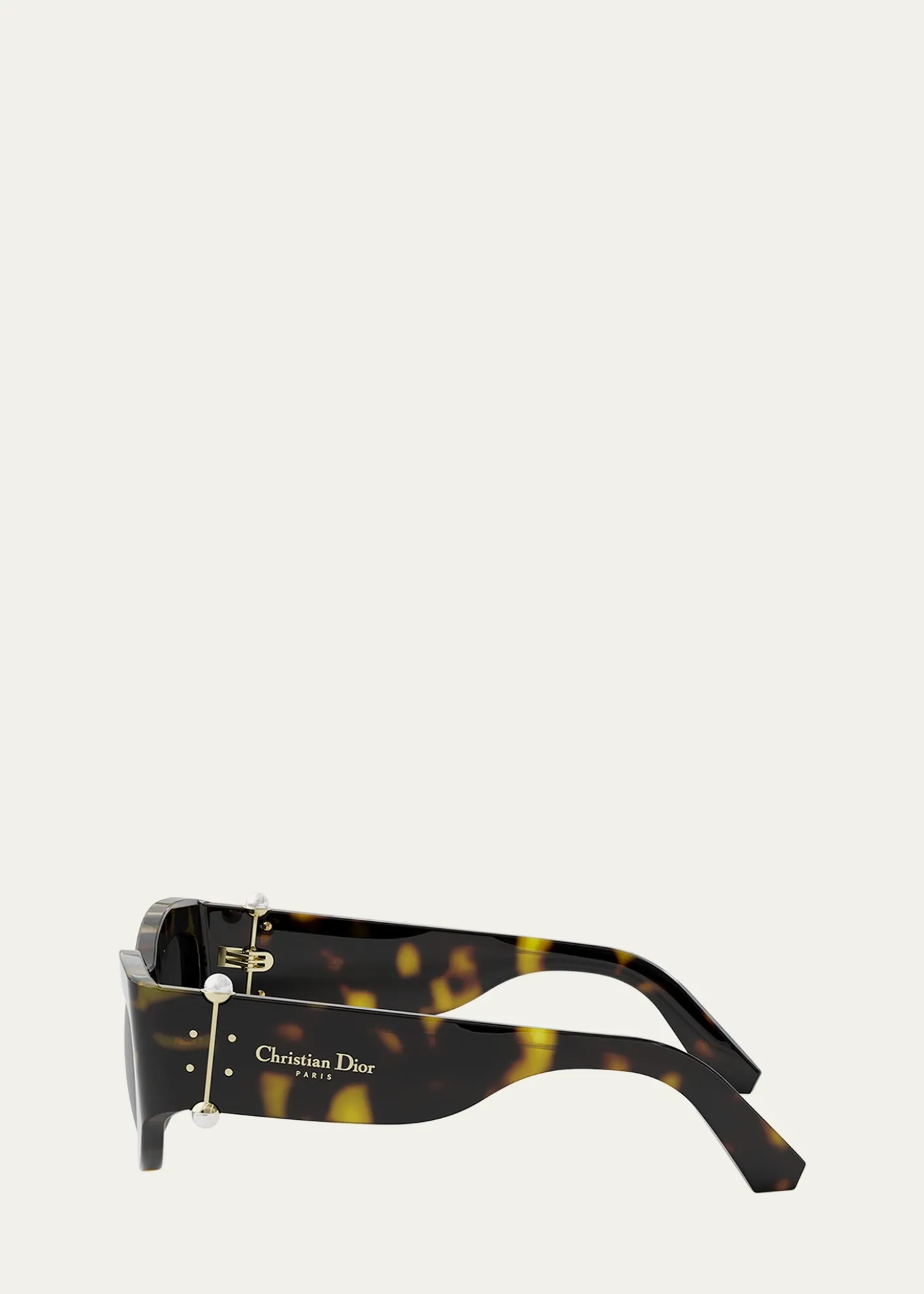 DiorDiorTribales B1I Sunglasses
