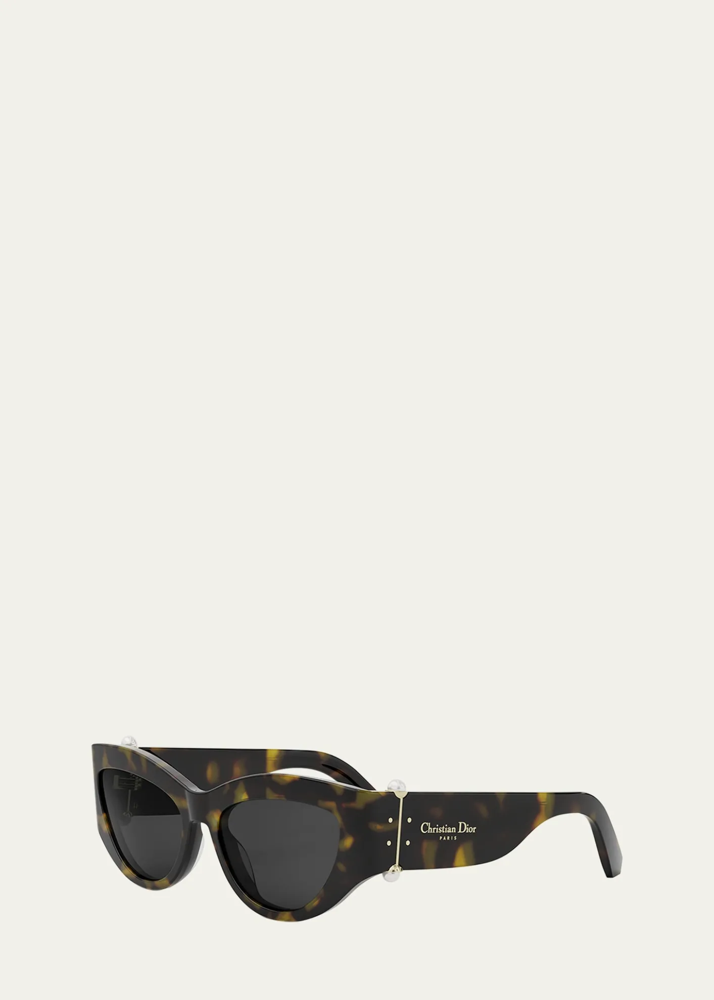 DiorDiorTribales B1I Sunglasses