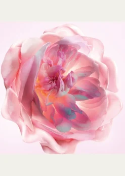 DiorMiss Dior Melt-In Hand Cream, 1.7 oz.