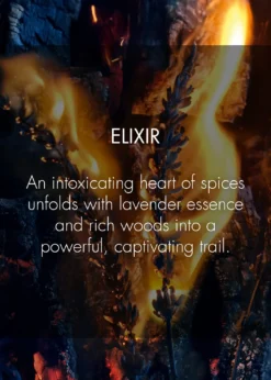 DiorSauvage Elixir, 5 oz.
