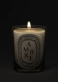 DIPTYQUEAmbre (Amber) Scented Candle, 6.7 oz.