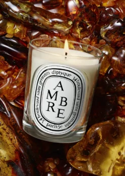 DIPTYQUEAmbre (Amber) Scented Candle, 6.7 oz.