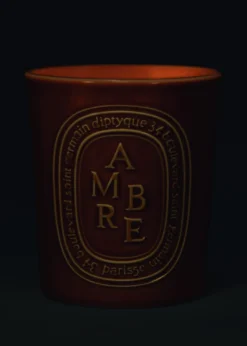 DIPTYQUEAmbre Candle, 600g