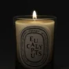DIPTYQUEEucalyptus Classic Candle, 6.7 oz.