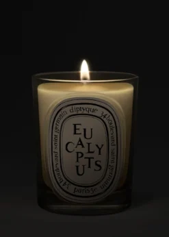 DIPTYQUEEucalyptus Classic Candle, 6.7 oz.