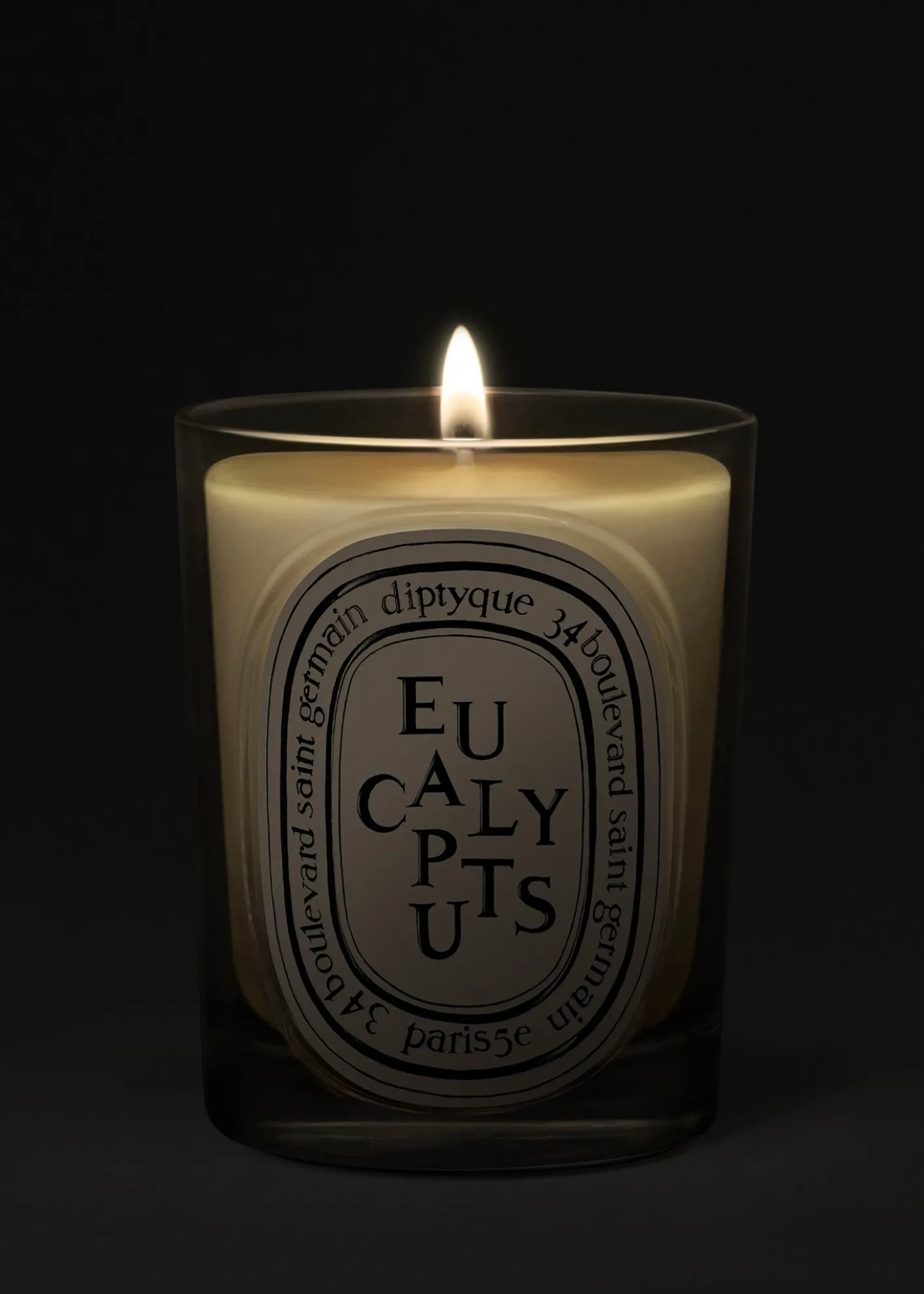 DIPTYQUEEucalyptus Classic Candle, 6.7 oz.