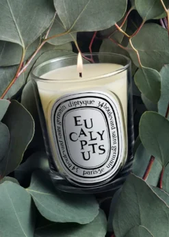 DIPTYQUEEucalyptus Classic Candle, 6.7 oz.