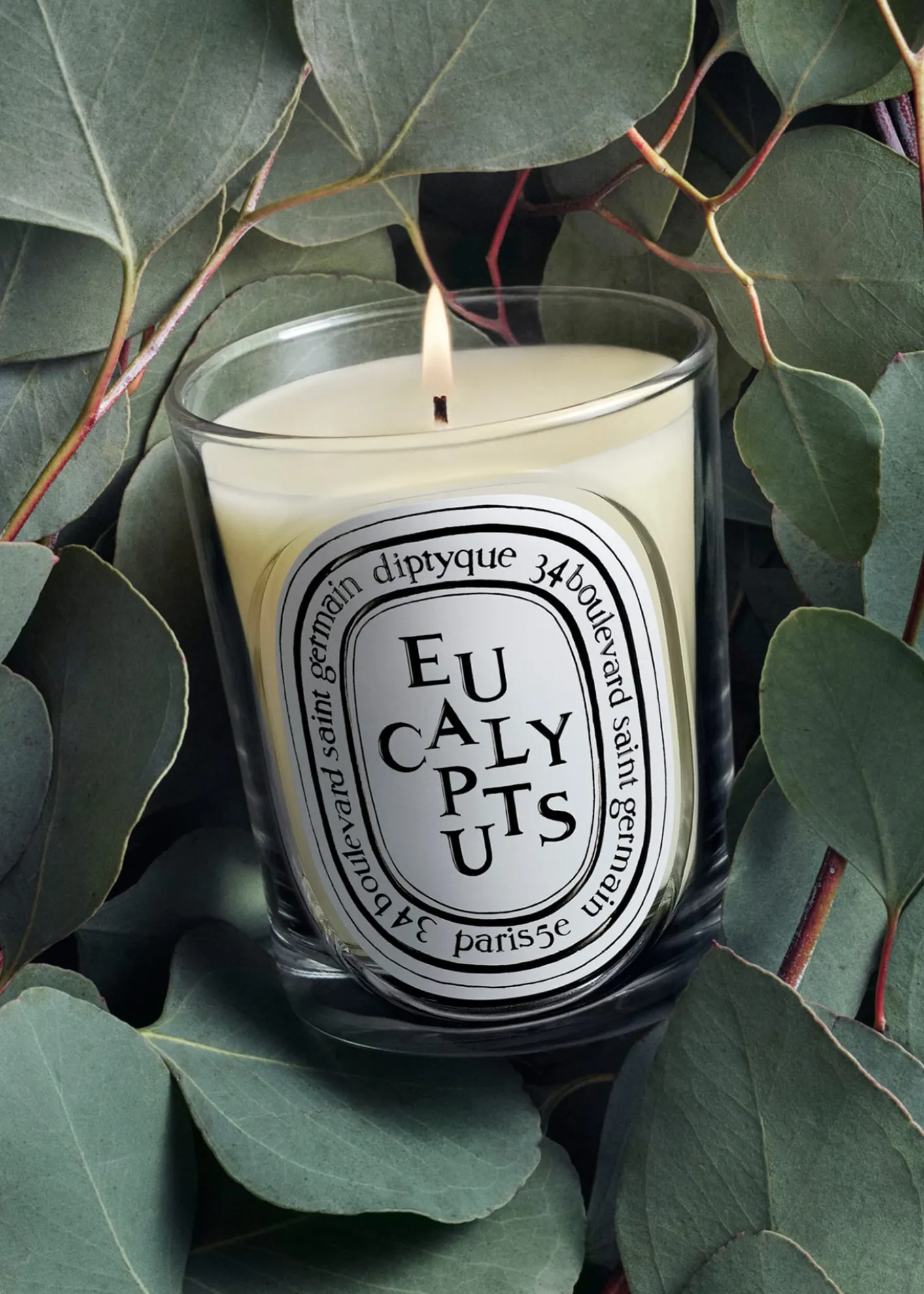 DIPTYQUEEucalyptus Classic Candle, 6.7 oz.