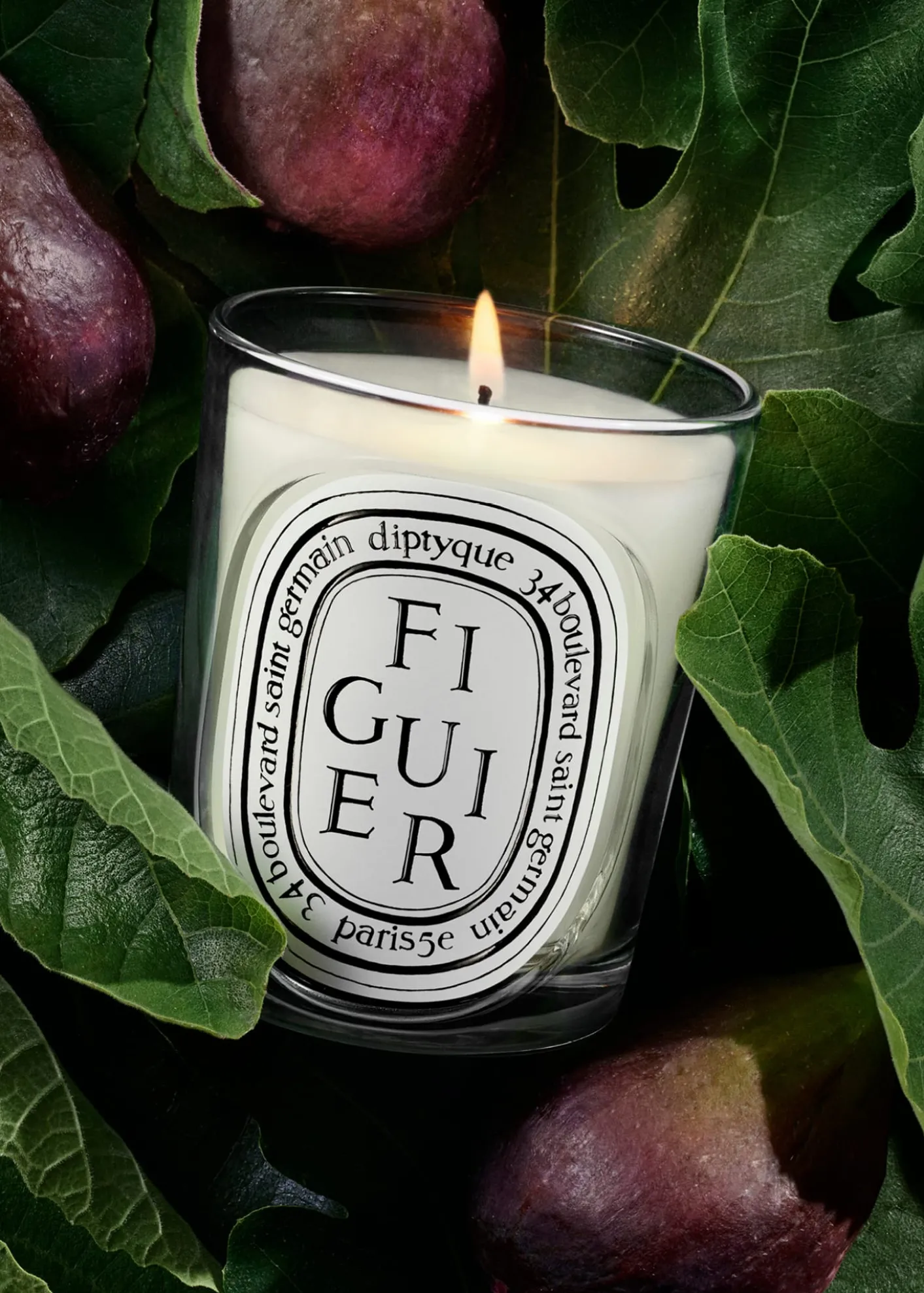 DIPTYQUEFiguier (Fig Tree) Classic Candle, 6.7 oz.