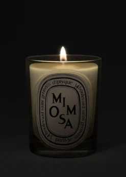 DIPTYQUEMimosa Classic Candle, 6.7 oz.